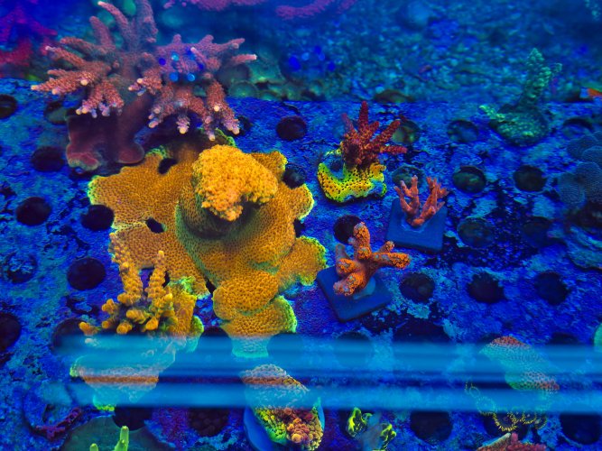 2025-11-28 15.32.53.jpg