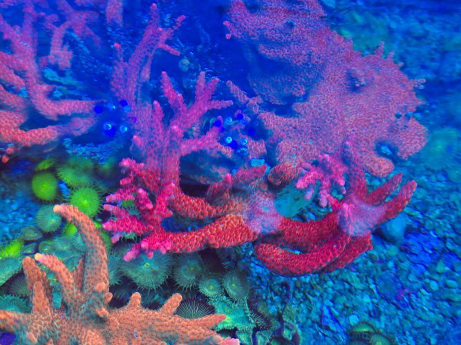 2025-11-28 15.32.58.jpg