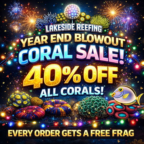 8166A1C7-98F8-4847-A3EF-0BC146BEEE63.png 8166A1C7-98F8-4847-A3EF-0BC146BEEE63.png