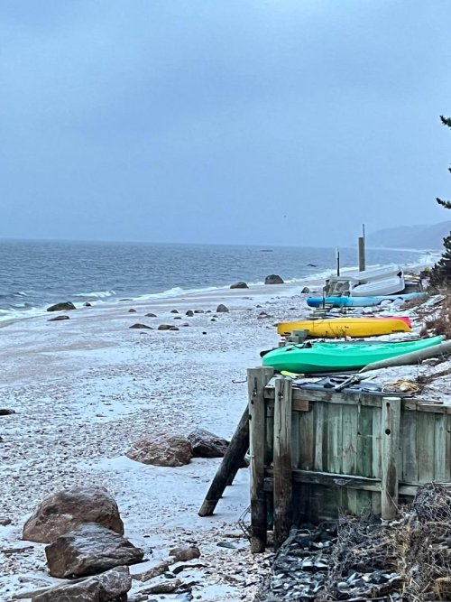 Snowy Beach.jpg