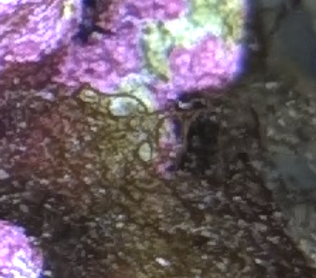 1767724193556.png 1767724193556.png