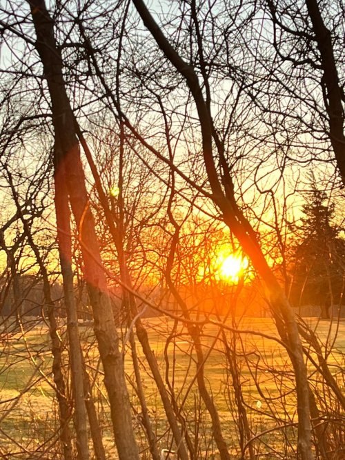 Sunrise ver Golf Course.jpg