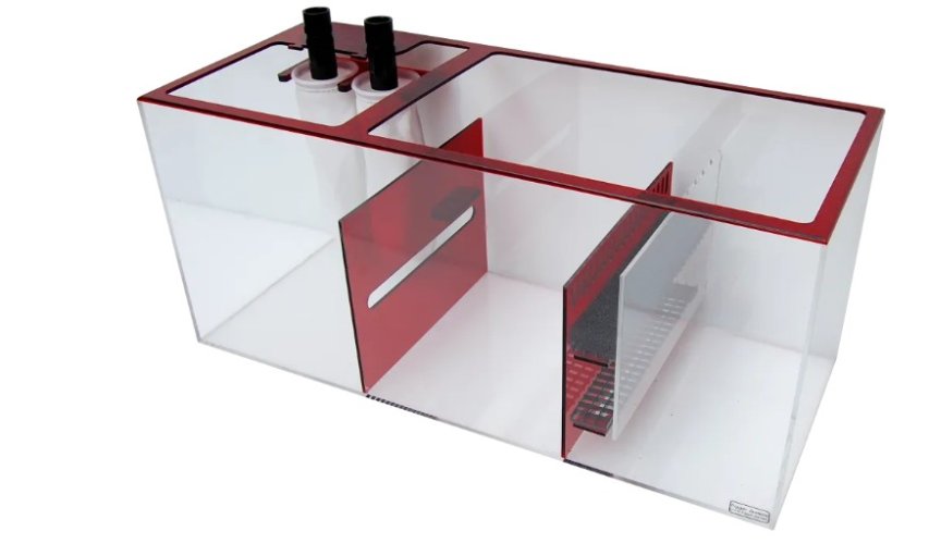 Screenshot 2026-01-16 111845.jpg