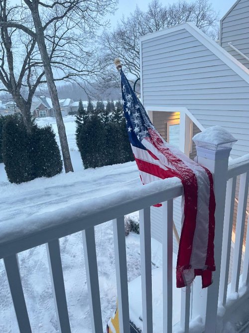 Snowy Flag.jpg