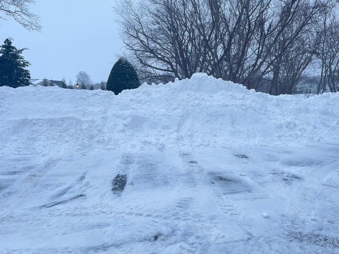 Tree burried in snow.jpg