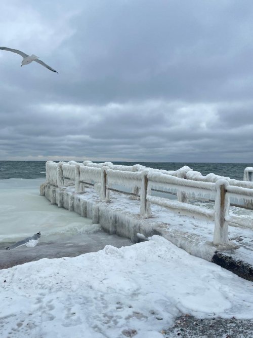 Left side frozen dock.jpg