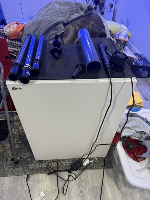 IMG_0455 Medium.jpeg