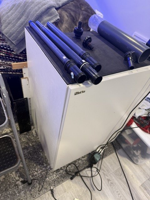 IMG_0456 Medium.jpeg