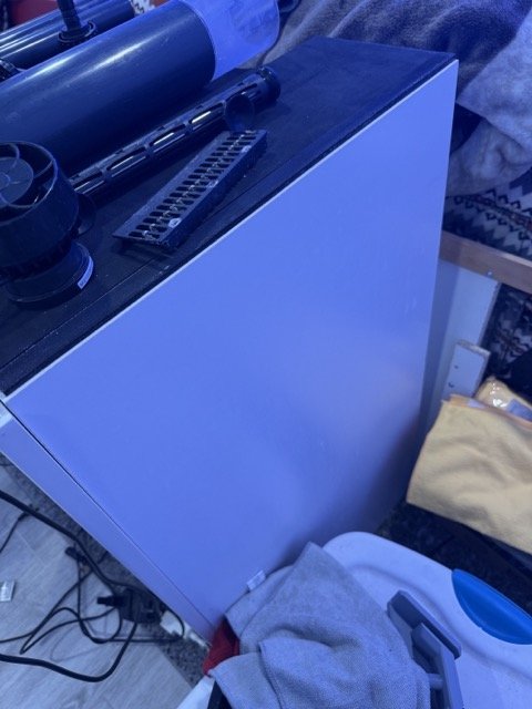 IMG_0457 Medium.jpeg