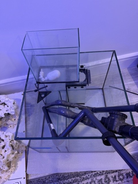 IMG_0458 Medium.jpeg