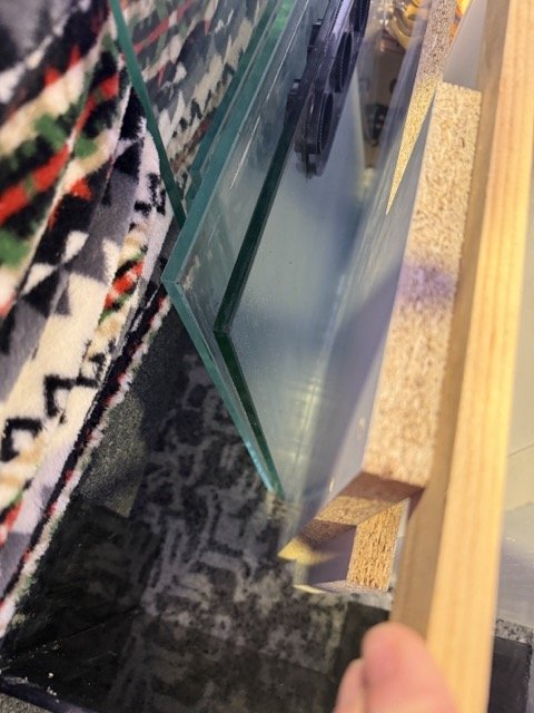 IMG_0459 Medium.jpeg