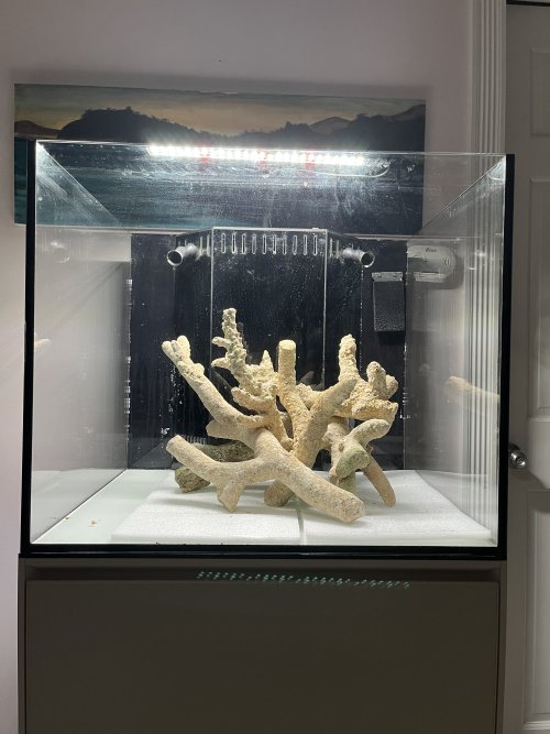 IMG_9409.jpeg IMG_9409.jpeg