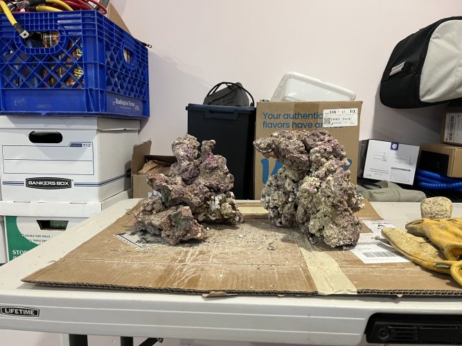 IMG_9402.jpeg IMG_9402.jpeg