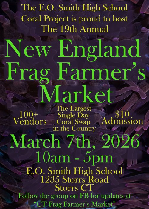 FFM 2026 Postcard Print (1).jpg