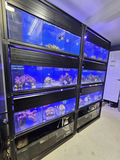 20260319_162027.jpg 20260319_162027.jpg