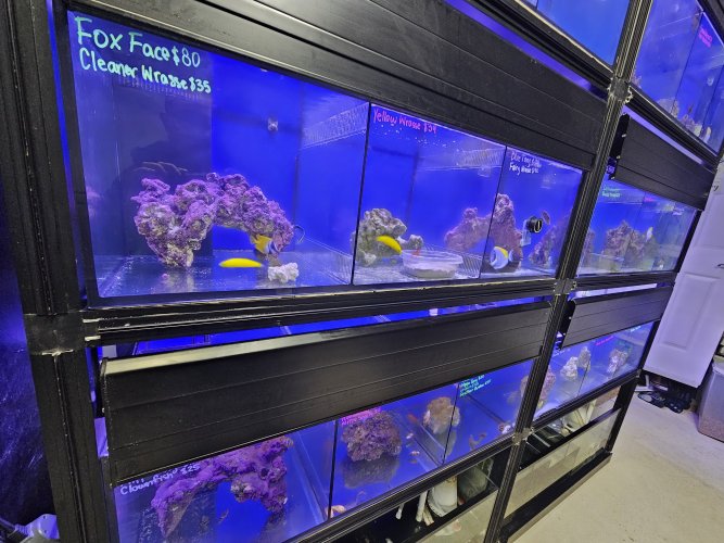 20260319_162034.jpg 20260319_162034.jpg