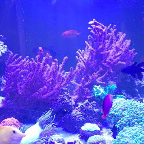 20260511_141056.jpg