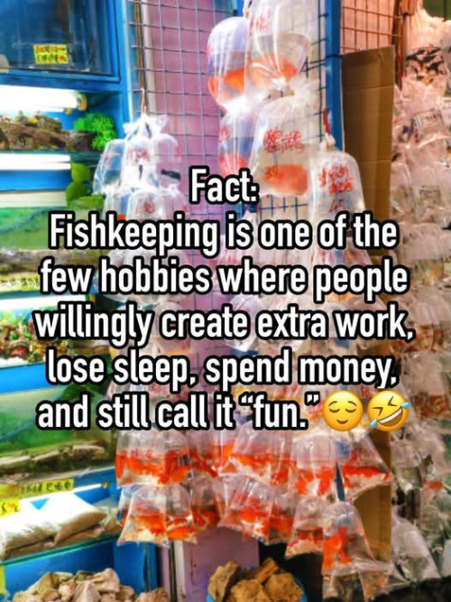 1778704482434.png