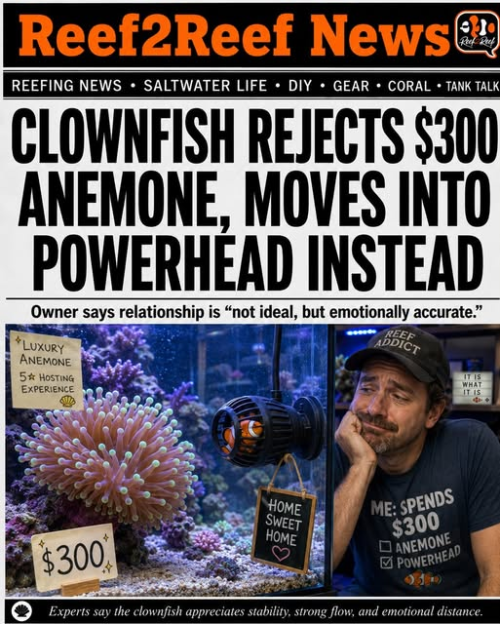 1779300703084.png