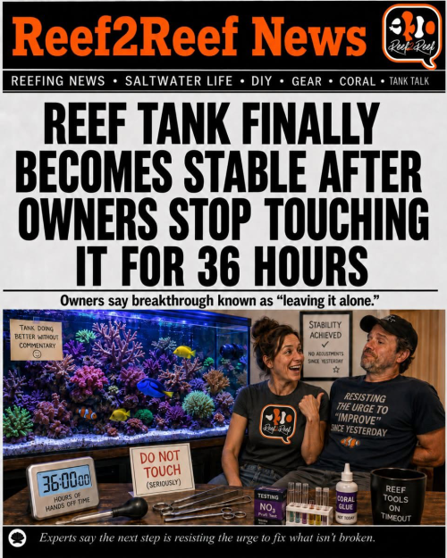 1779453423016.png