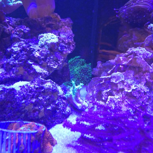 20260525_135840.jpg