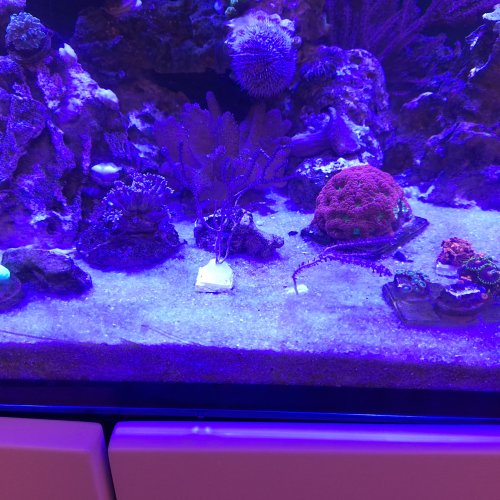 20260525_135322.jpg