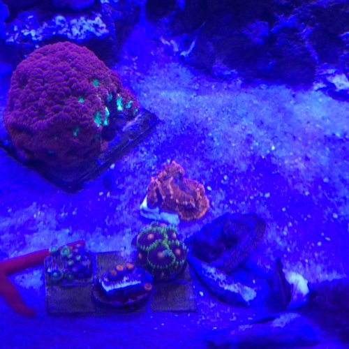 20260525_133502.jpg