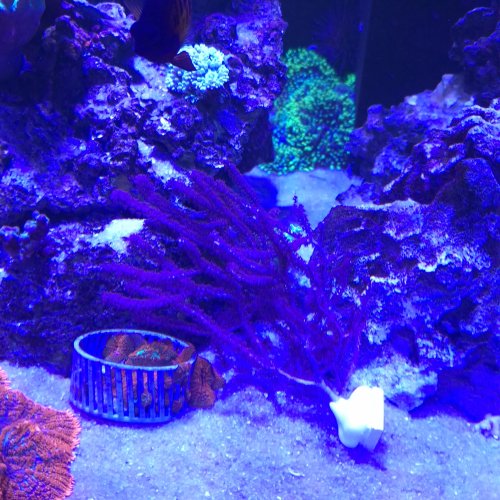 20260525_133443.jpg