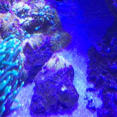 20260525_133425.jpg