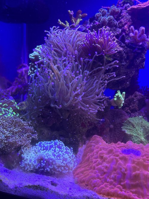 IMG_1804.jpeg
