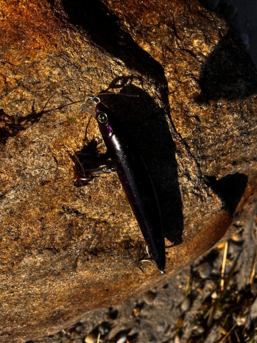 Lure on beach.jpg