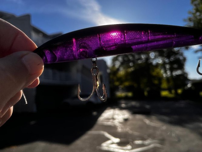Translucent lure.jpg