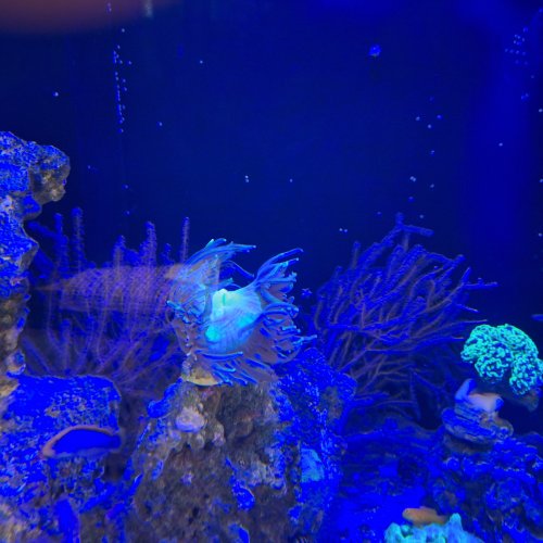 20260531_185920.jpg