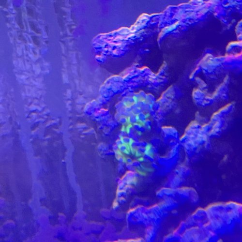 AquaCam_543EB184.jpeg