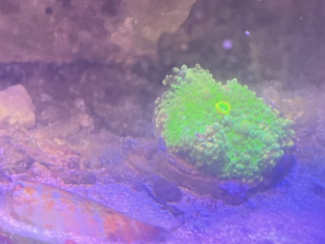AquaCam_56D373D3.jpeg