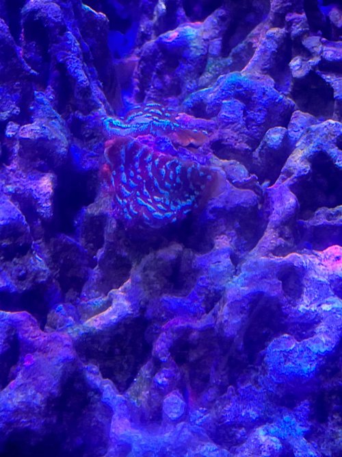 AquaCam_36E1CA8B.jpeg