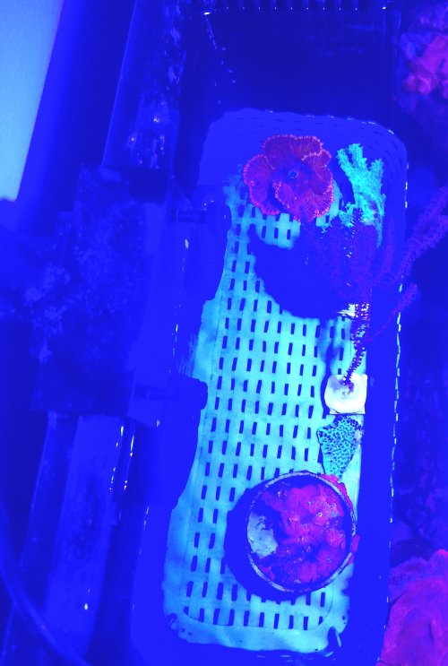 20260603_130211.jpg