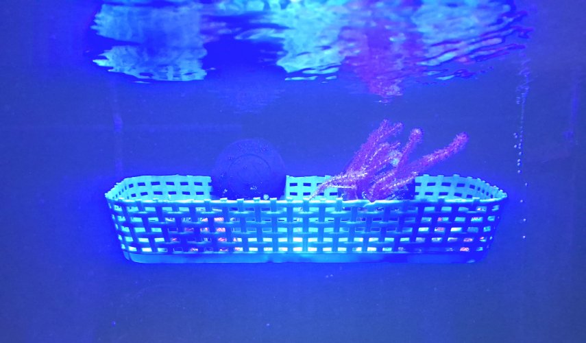 20260603_130143.jpg