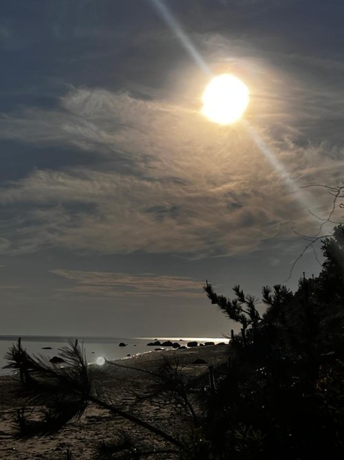 Morning beach.jpg