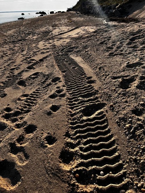 Alien tire tracks.jpg