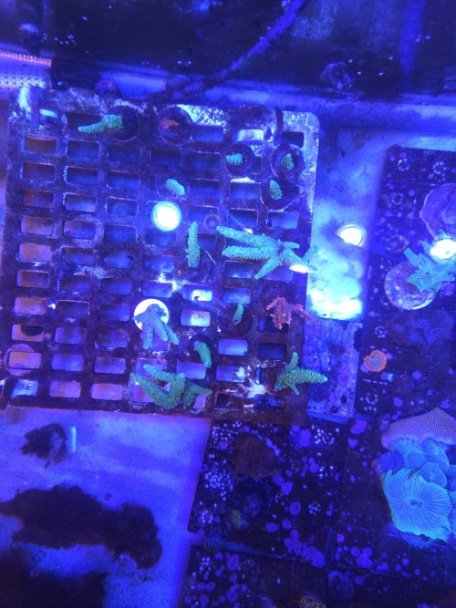 20260606_183336.jpg