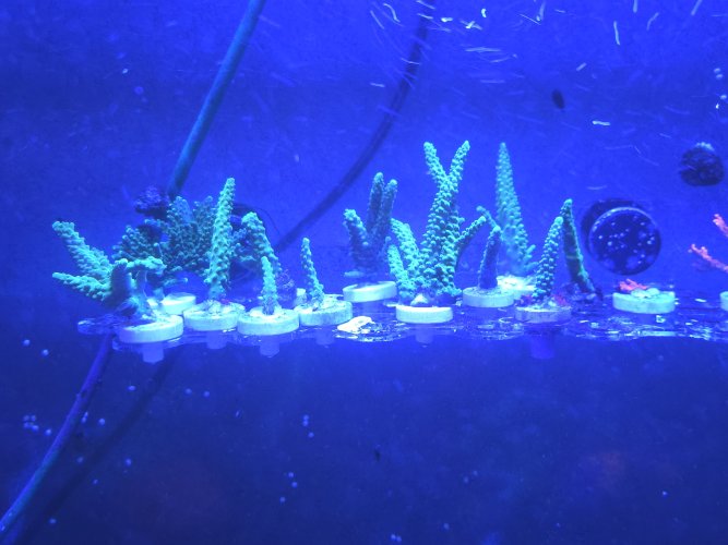 20260614_101514.jpg