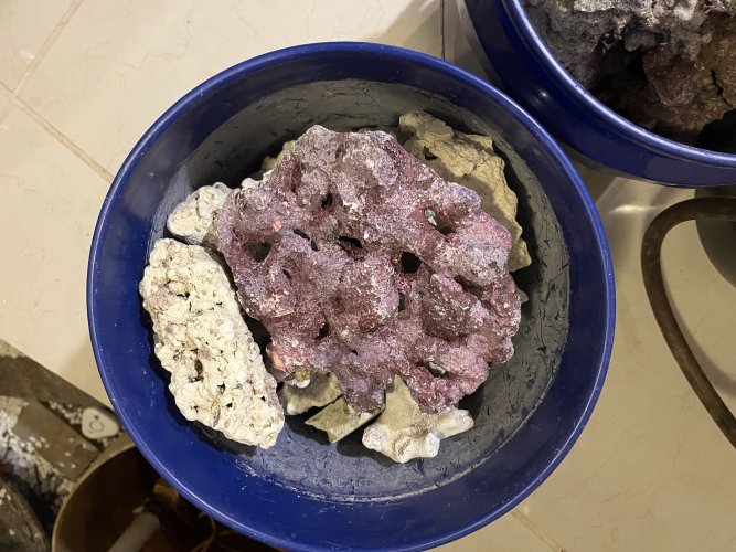 IMG_0642.jpeg