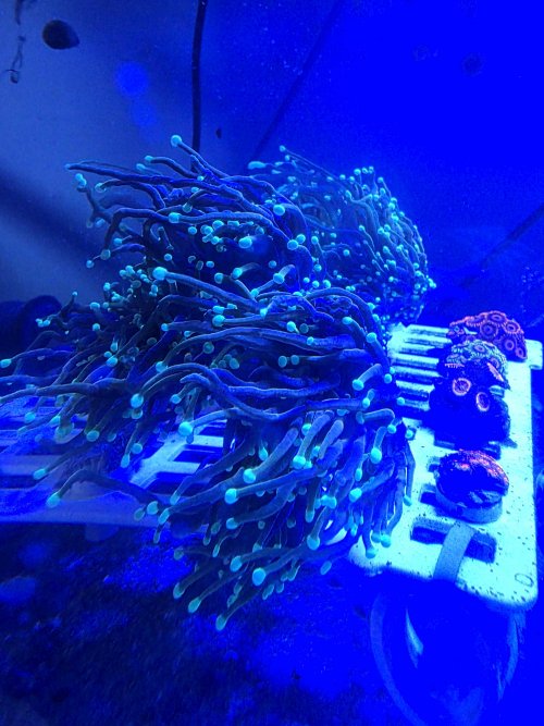20260704_103913.jpg