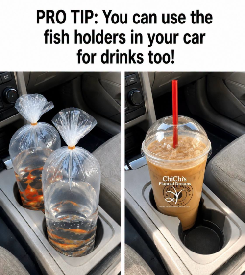1783715638938.png