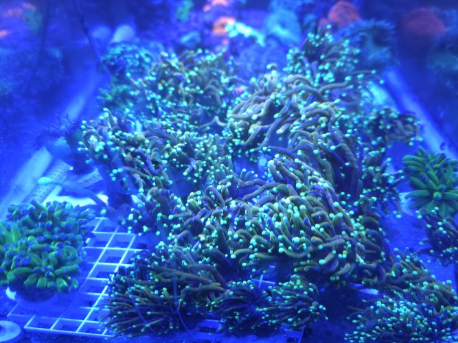 20260717_093000.jpg