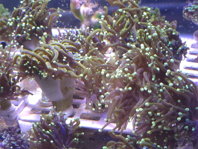 20260717_093146.jpg