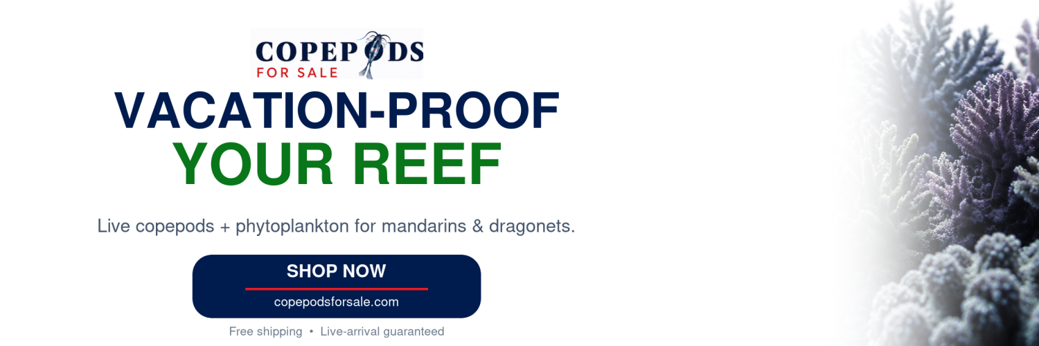 vacation-proof-reef-r2r-no-bottles-2160x720.png vacation-proof-reef-r2r-no-bottles-2160x720.png