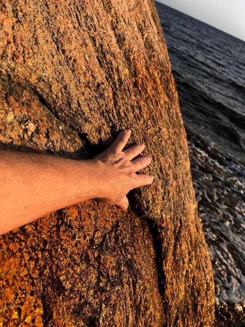 Hand on rock.jpg