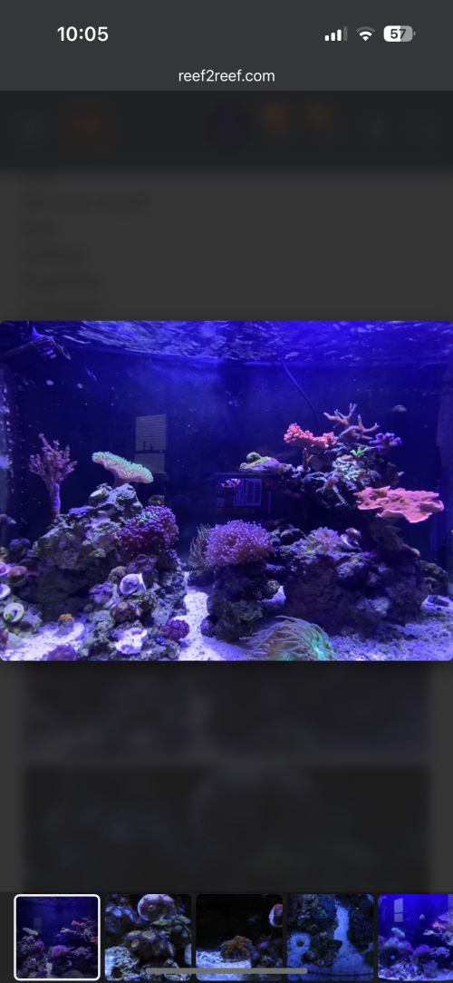 IMG_2979.png IMG_2979.png